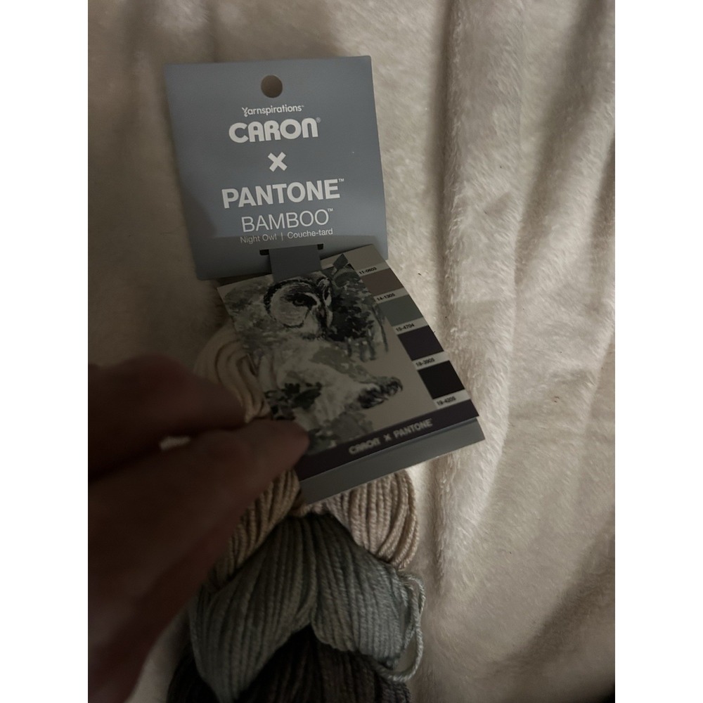 Caron X Pantone Bamboo 60% Acrylic 20% Nylon 20% Viscose Night Owl Yarn‎